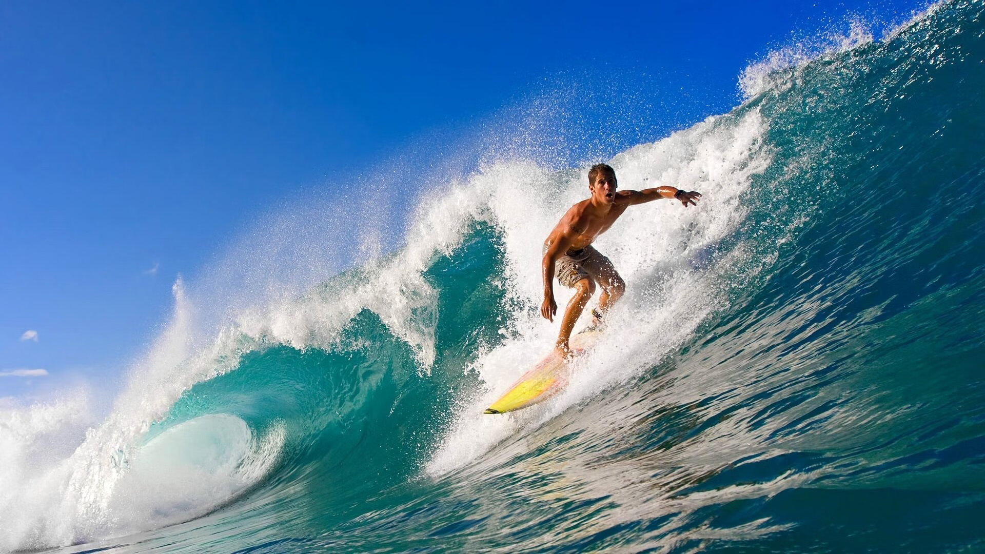 举办瑜伽行业论坛，探讨发展方向，开展瑜伽